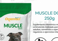 MUSCLE DOG * 250 GR